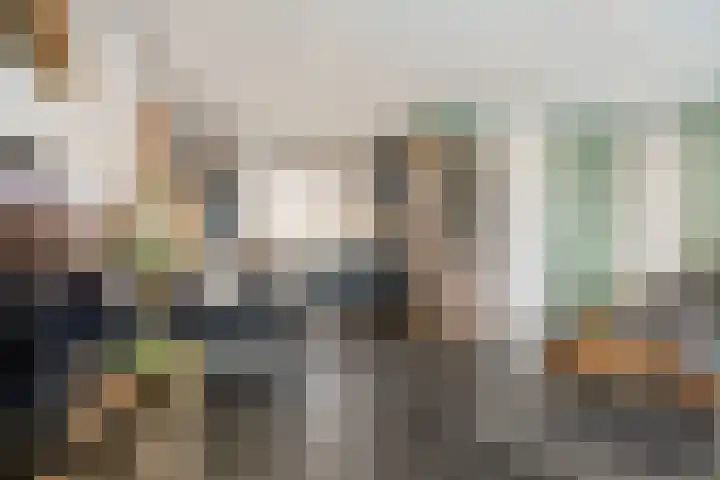 Kalverweide 14 Zoetermeer thumbnail 13