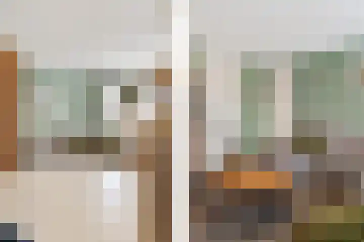 Kalverweide 14 Zoetermeer thumbnail 14