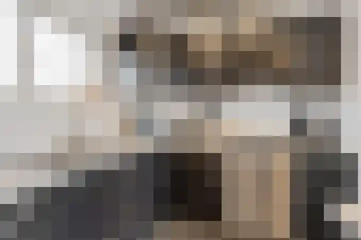 Kalverweide 14 Zoetermeer thumbnail 16