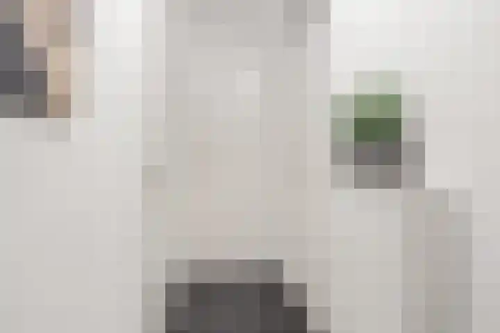 Kalverweide 14 Zoetermeer thumbnail 18