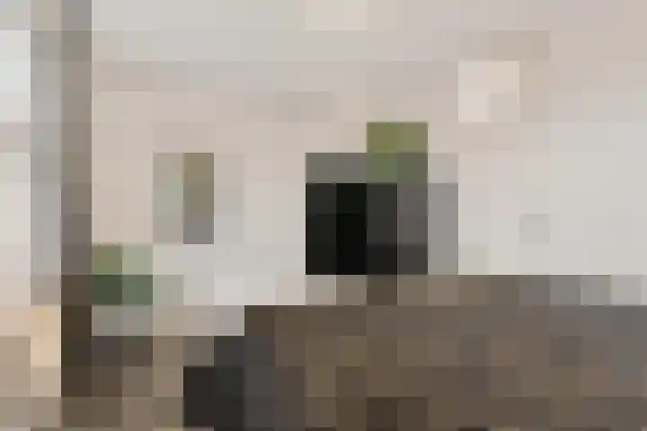 Kalverweide 14 Zoetermeer thumbnail 21