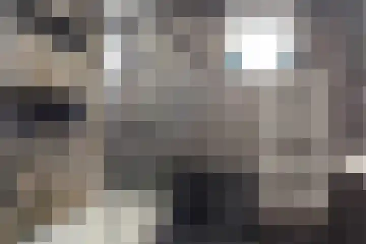 Kalverweide 14 Zoetermeer thumbnail 22