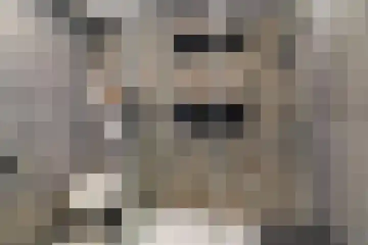 Kalverweide 14 Zoetermeer thumbnail 23