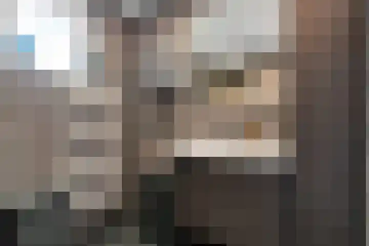 Kalverweide 14 Zoetermeer thumbnail 25