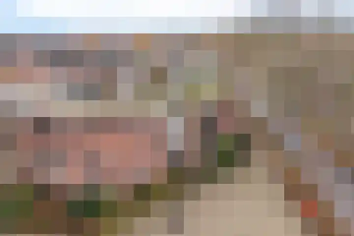 Kalverweide 14 Zoetermeer thumbnail 5