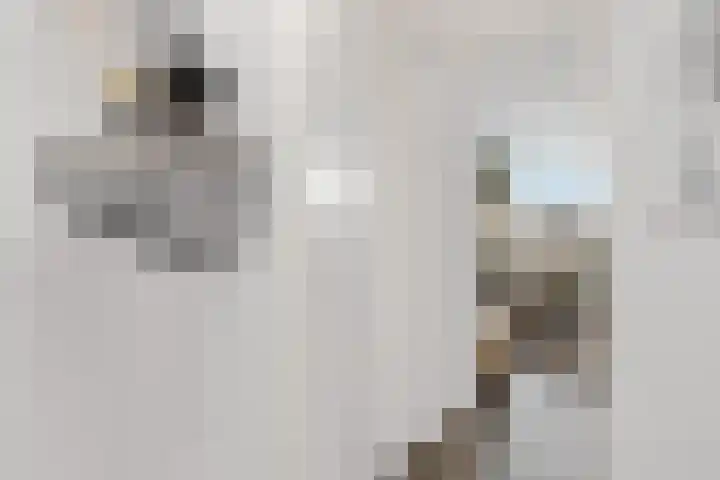 Kalverweide 14 Zoetermeer thumbnail 6
