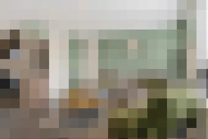 Kalverweide 14 Zoetermeer thumbnail 9