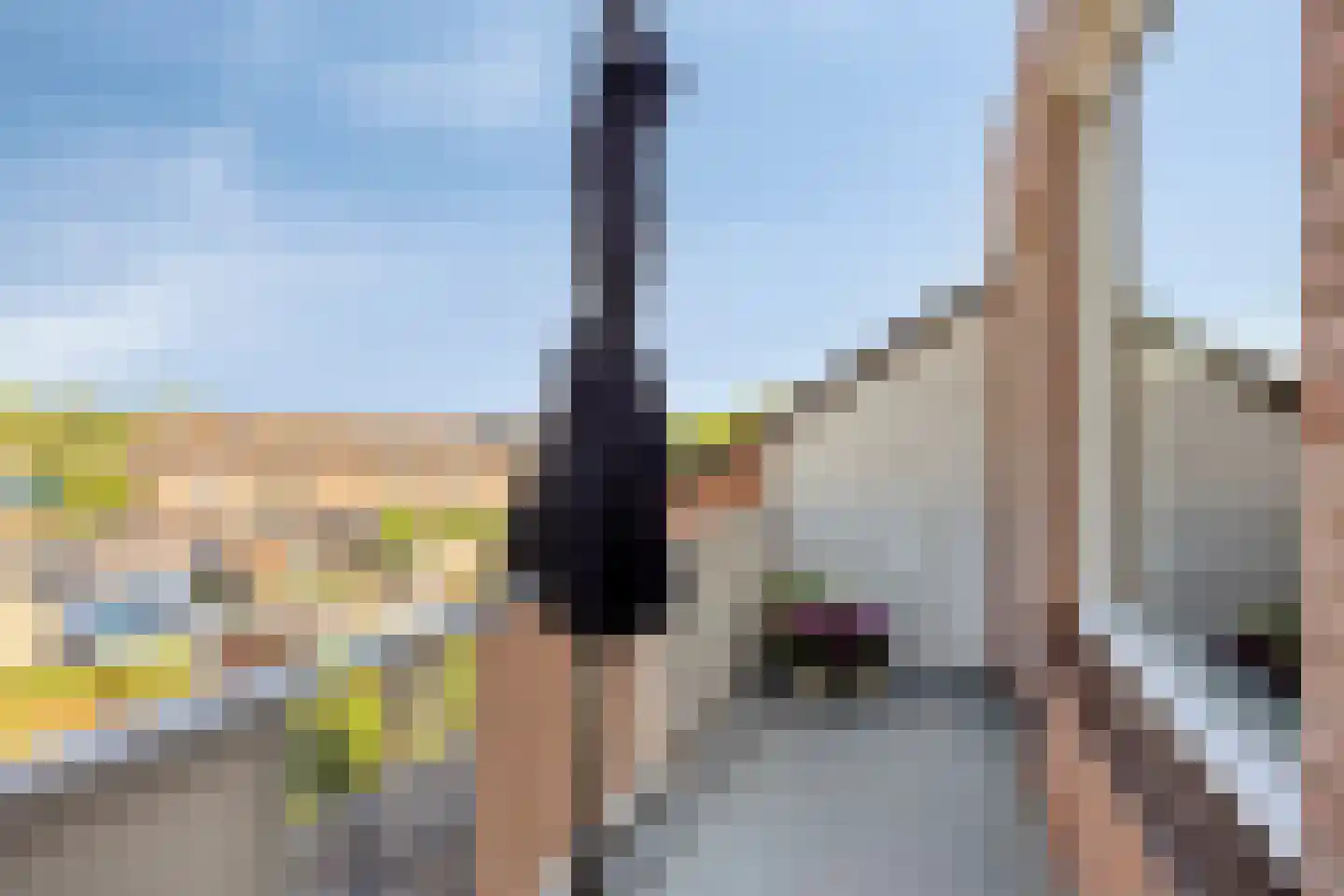 Kalverweide 16 Zoetermeer thumbnail 14