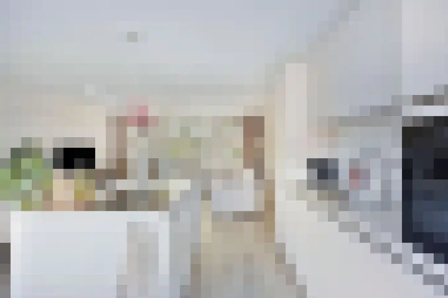 Kalverweide 16 Zoetermeer thumbnail 17