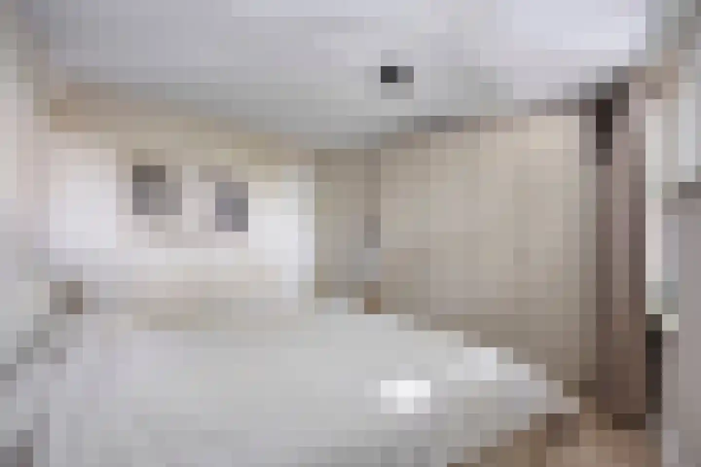 Kalverweide 16 Zoetermeer thumbnail 22