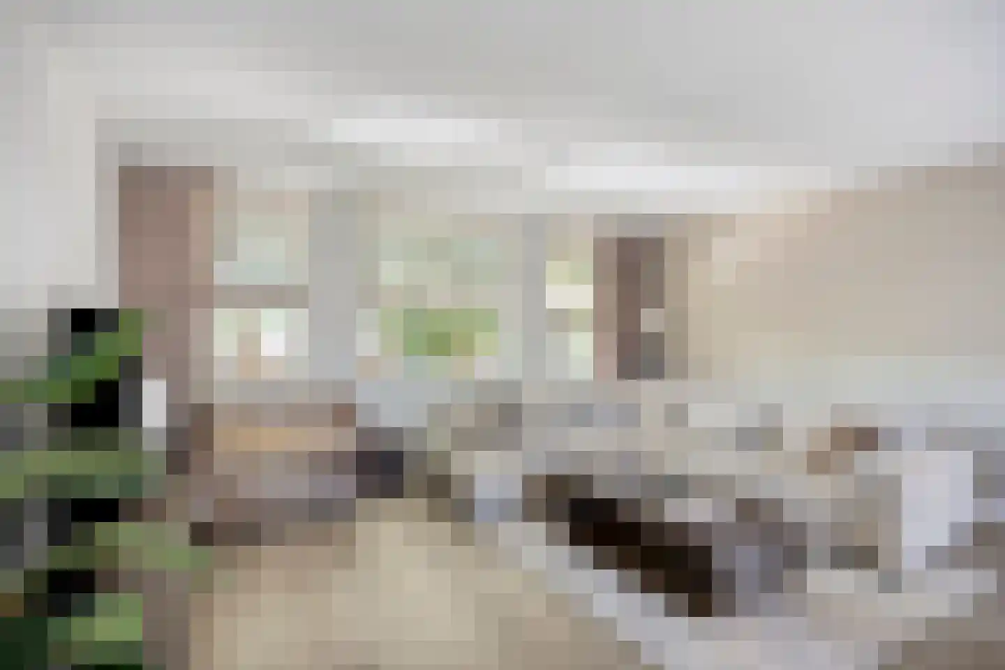 Kalverweide 16 Zoetermeer thumbnail 9