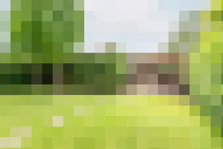 Kalverweidendijk 18 A Dinxperlo thumbnail 45
