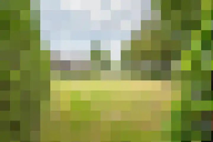 Kalverweidendijk 18 A Dinxperlo thumbnail 53