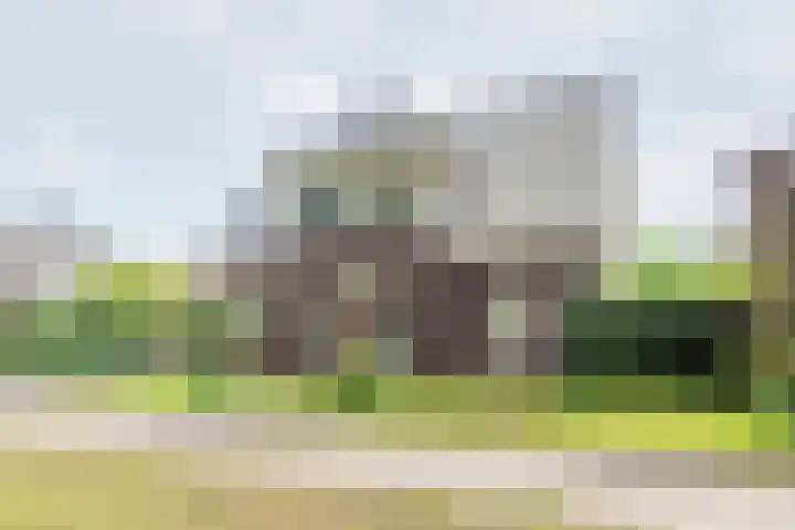 Kalverweidendijk 18 A Dinxperlo thumbnail 55