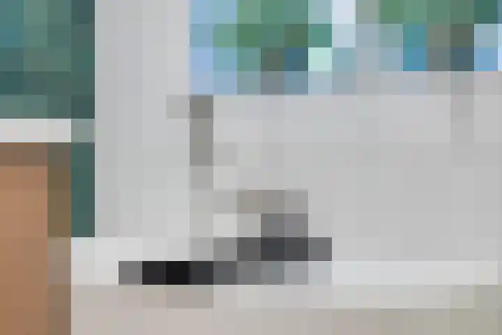 Kalverweidendijk 21 Dinxperlo thumbnail 32