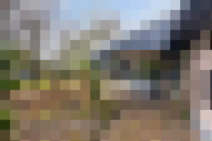 Kalverweidendijk 21 Dinxperlo thumbnail 33