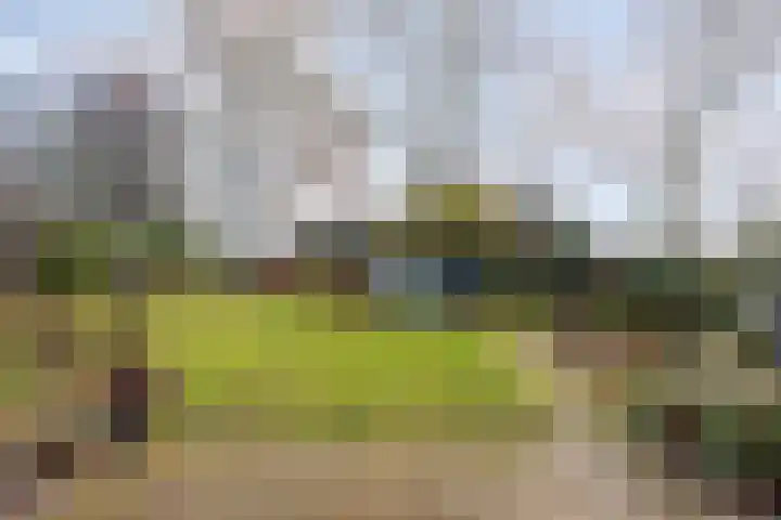 Kalverweidendijk 21 Dinxperlo thumbnail 35