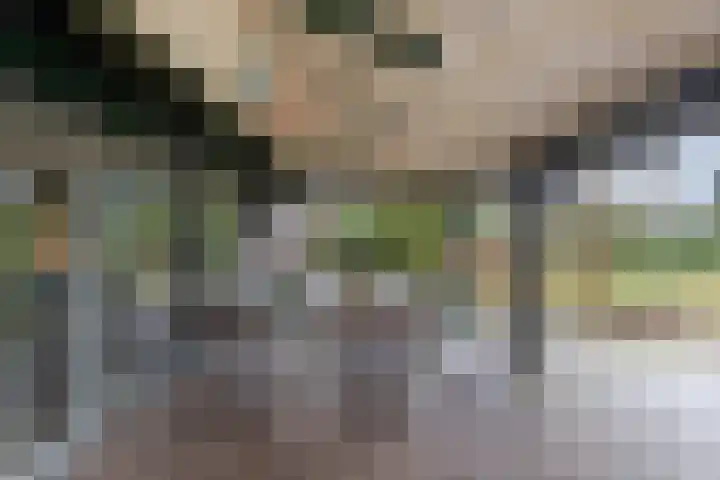 Kalverweidendijk 21 Dinxperlo thumbnail 36