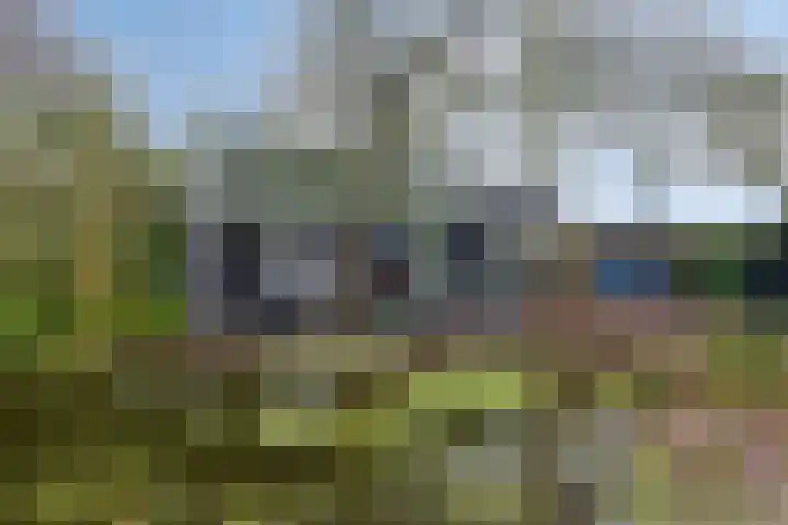Kalverweidendijk 21 Dinxperlo thumbnail 38