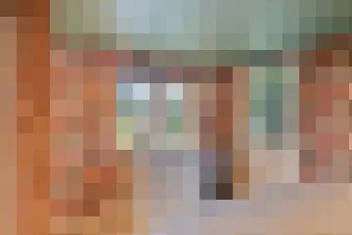 Kalverweidendijk 21 Dinxperlo thumbnail 42