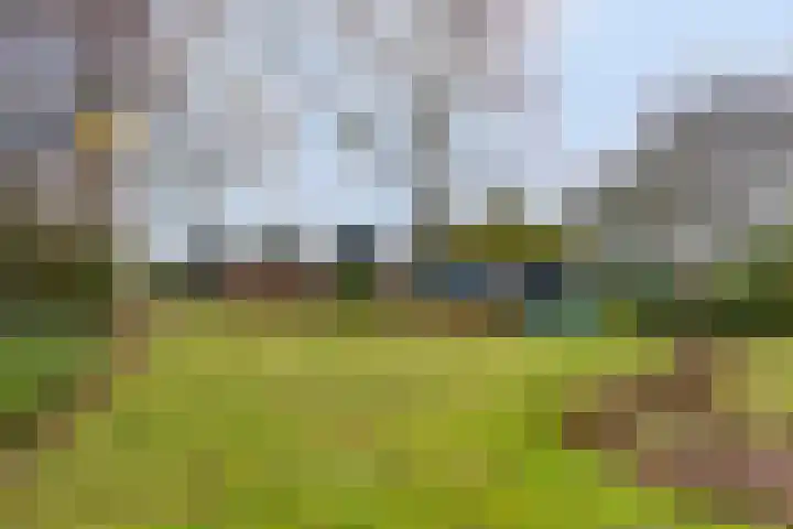 Kalverweidendijk 21 Dinxperlo thumbnail 44