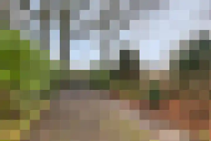 Kalverweidendijk 21 Dinxperlo thumbnail 45