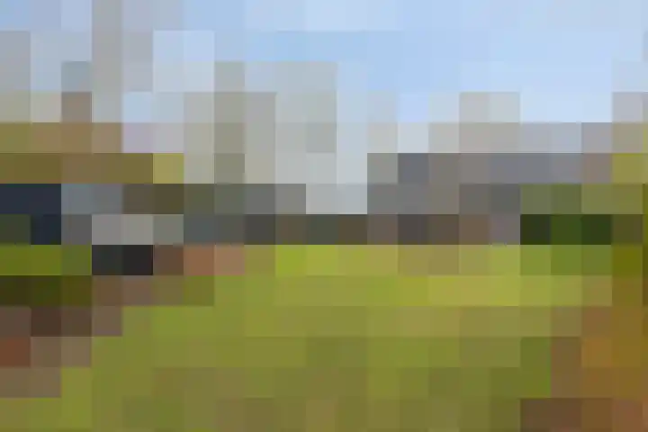 Kalverweidendijk 21 Dinxperlo thumbnail 47
