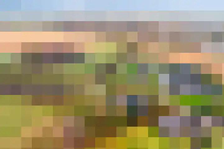 Kalverweidendijk 21 Dinxperlo thumbnail 51