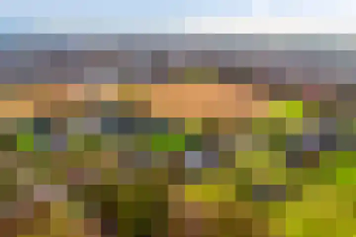 Kalverweidendijk 21 Dinxperlo thumbnail 52
