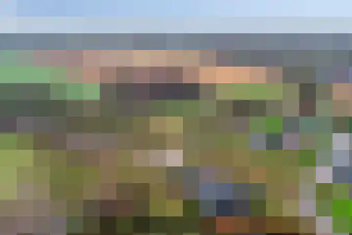 Kalverweidendijk 21 Dinxperlo thumbnail 54
