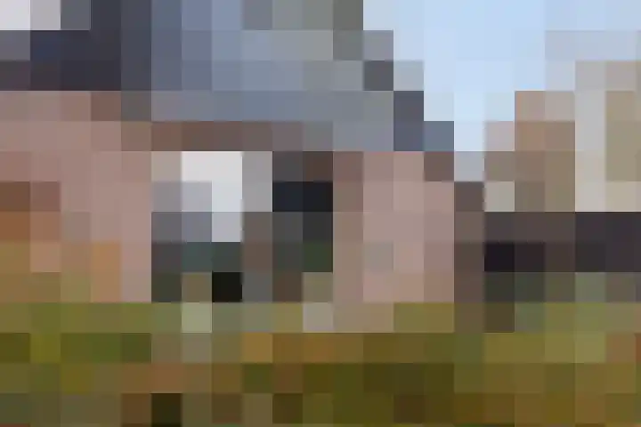 Kalverweidendijk 21 Dinxperlo thumbnail 6