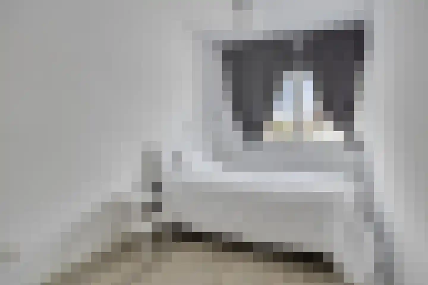 Kameel 24 Kampen thumbnail 16