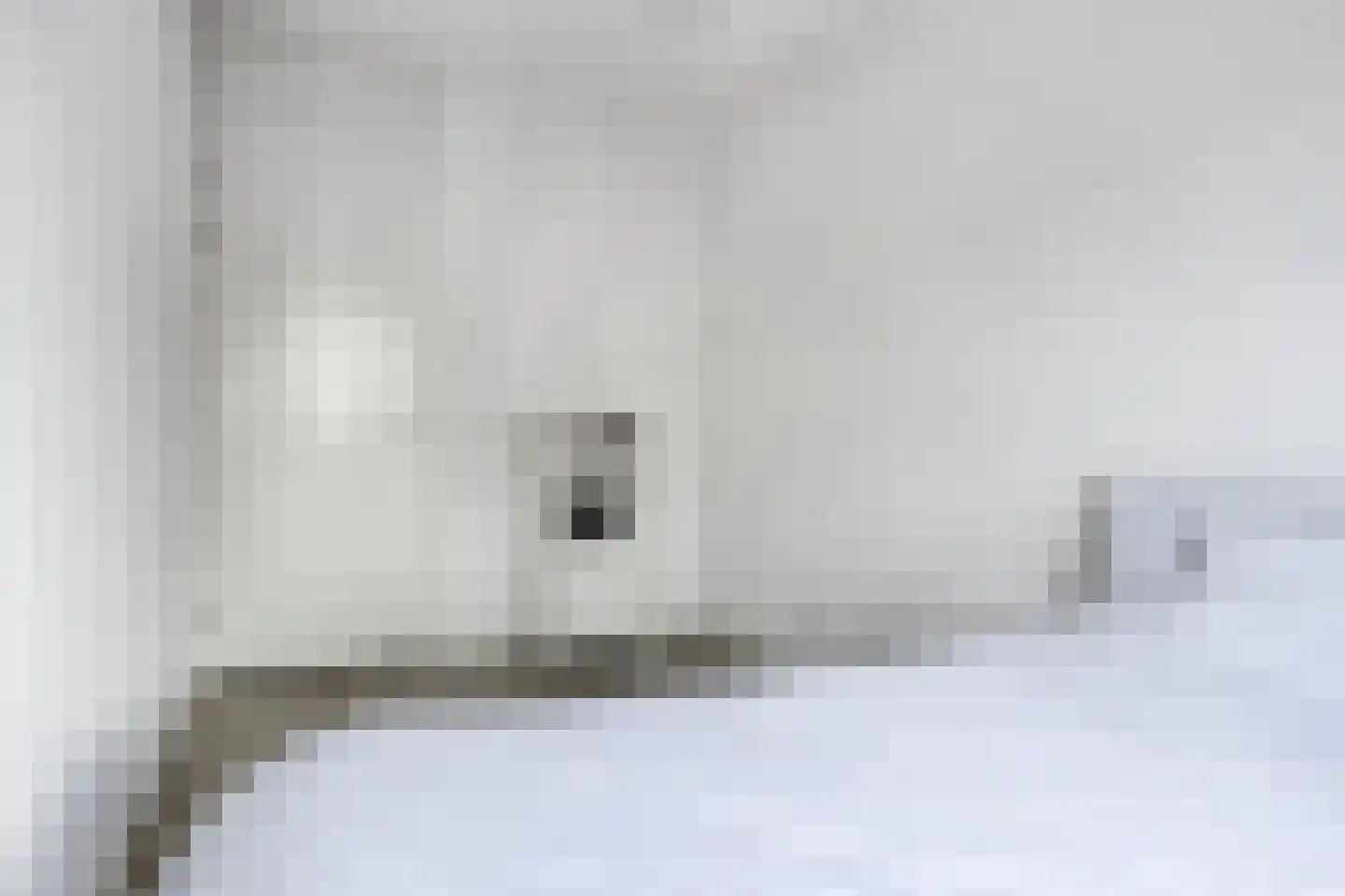 Kameel 24 Kampen thumbnail 17