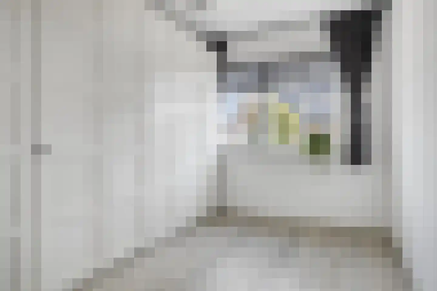 Kameel 24 Kampen thumbnail 18