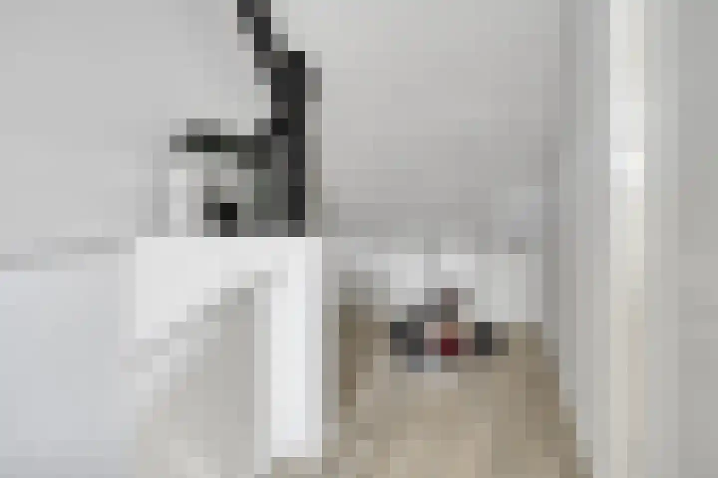 Kameel 24 Kampen thumbnail 21