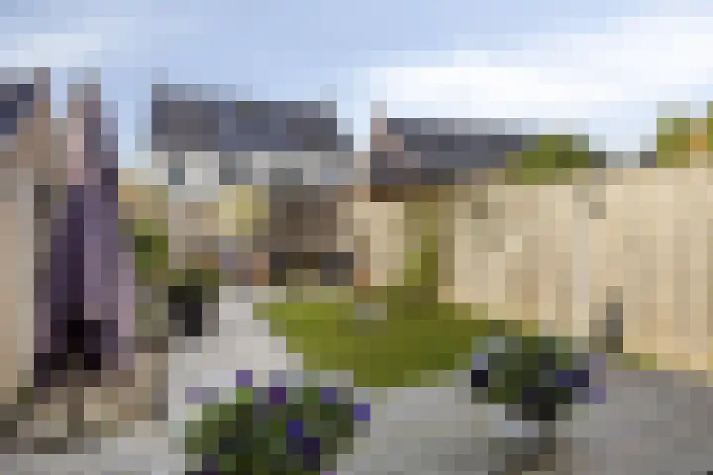 Kameel 24 Kampen thumbnail 25