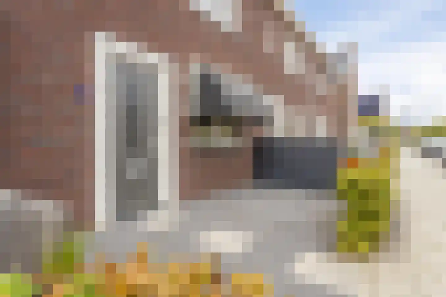 Kameel 24 Kampen thumbnail 29
