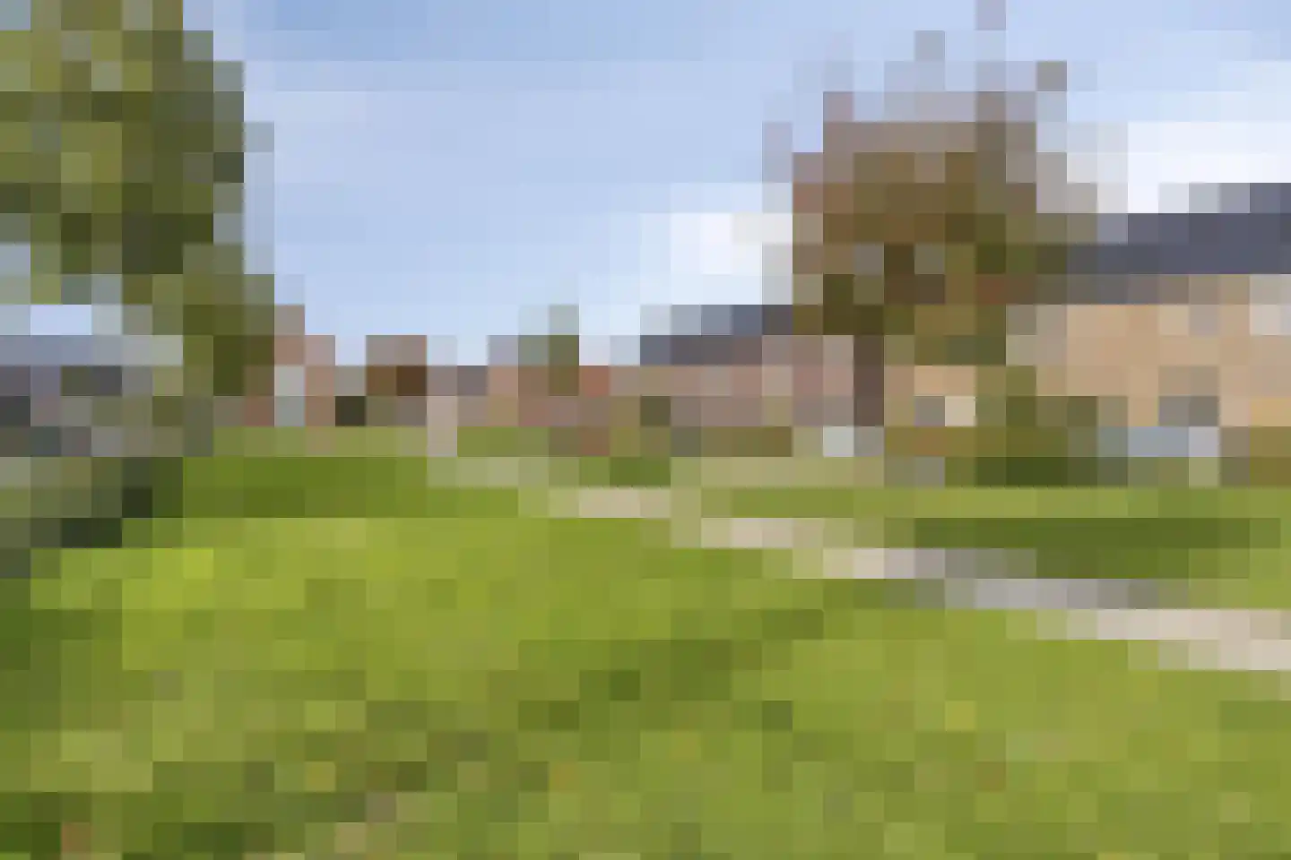 Kameel 24 Kampen thumbnail 32