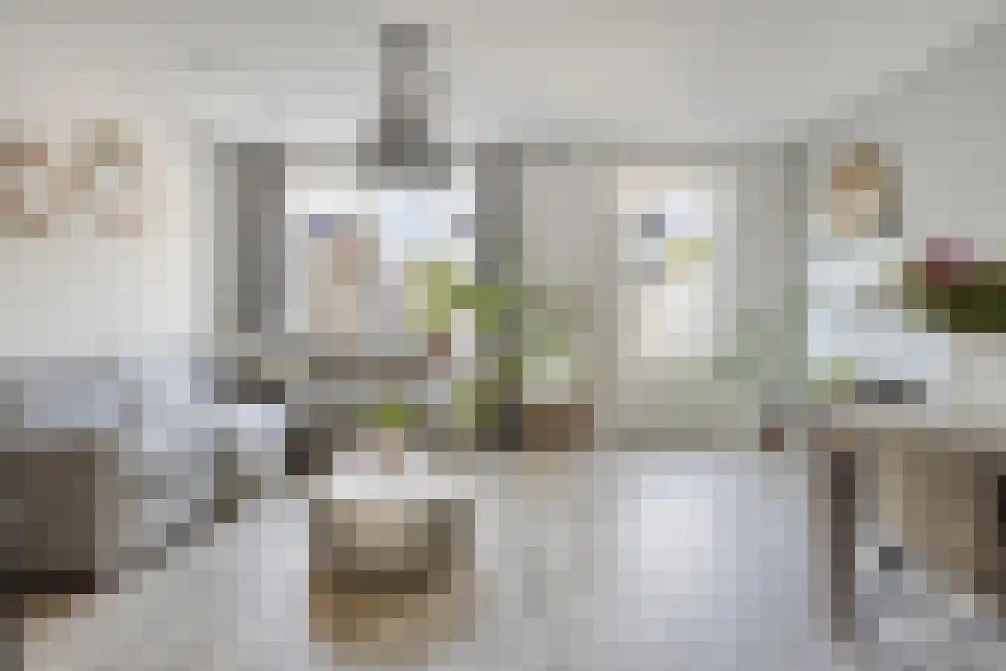 Kameel 24 Kampen thumbnail 4