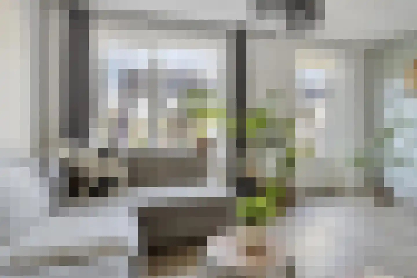 Kameel 24 Kampen thumbnail 5