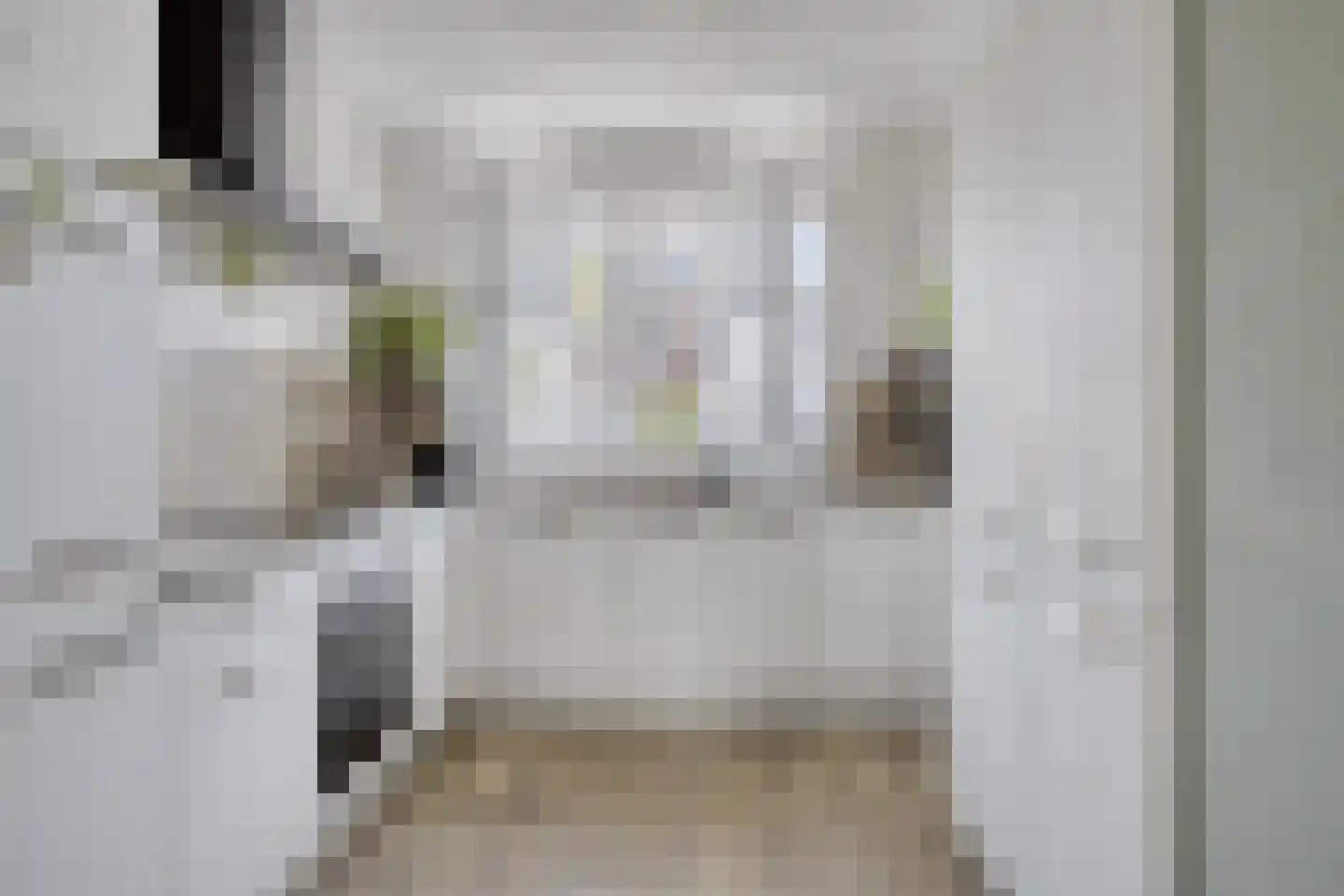 Kameel 24 Kampen thumbnail 8
