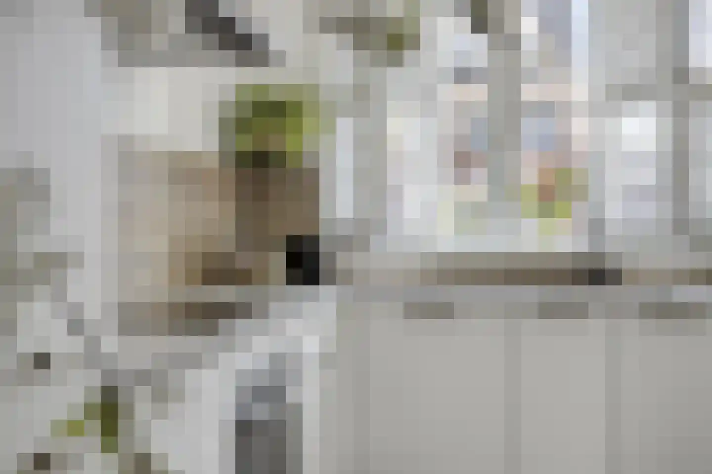 Kameel 24 Kampen thumbnail 9