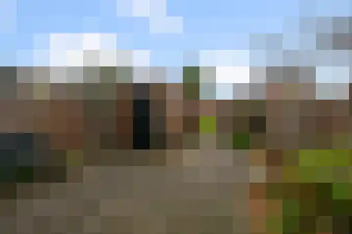 Kameelstraat 19 Wormer thumbnail 9