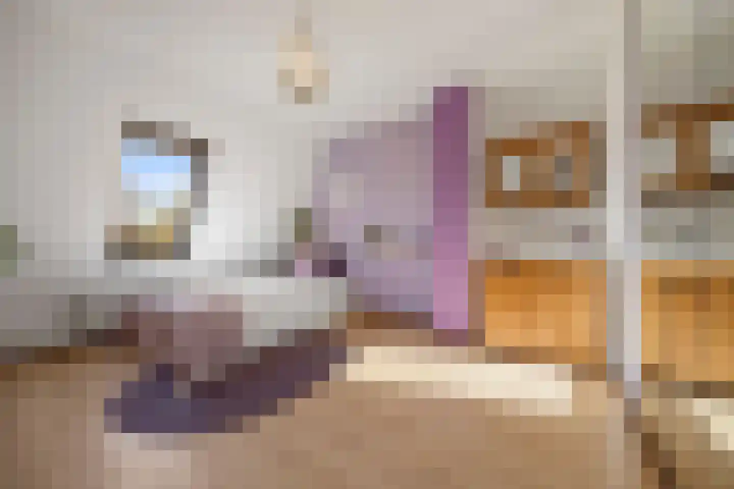 Kameelstraat 20 Nijmegen thumbnail 20