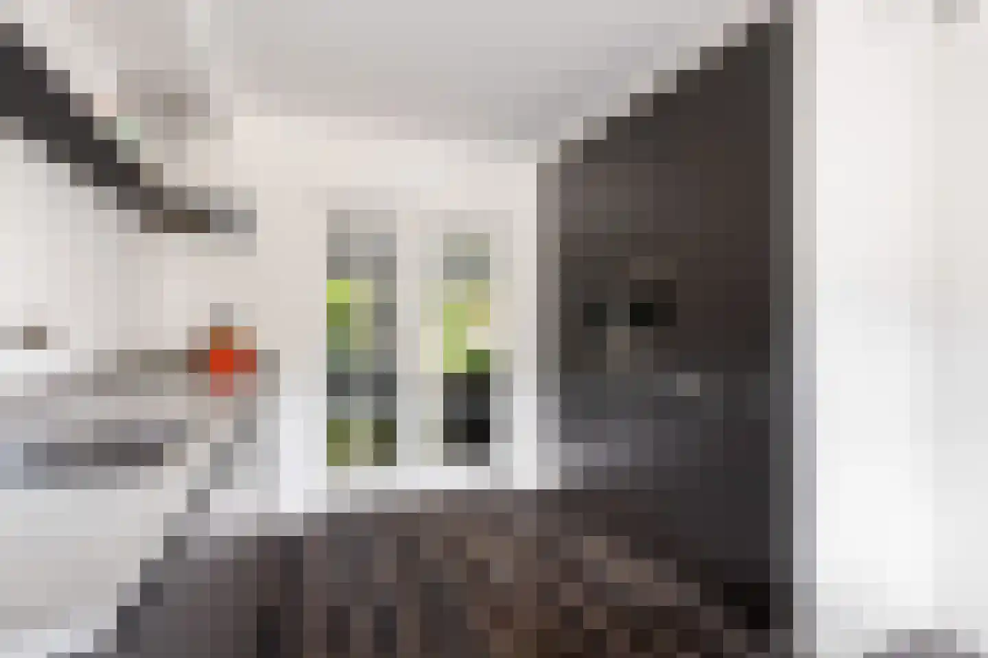 Kameelvlinder 5 Amersfoort thumbnail 15