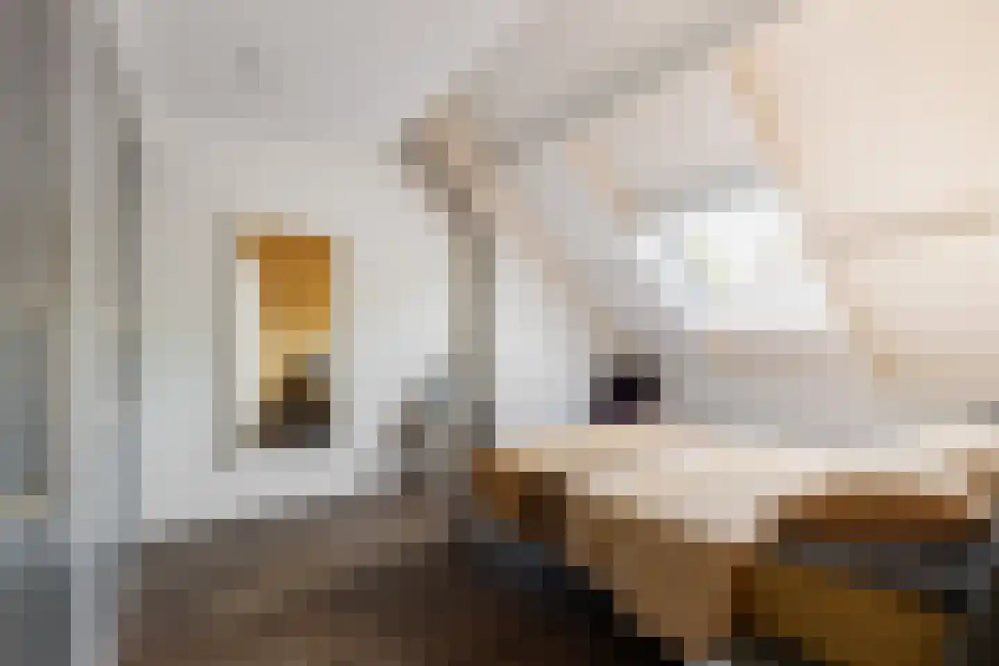 Kameelvlinder 5 Amersfoort thumbnail 21