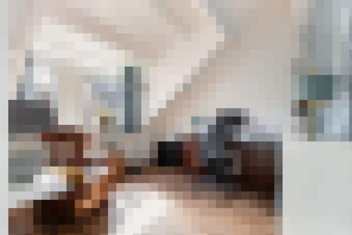 Kameelvlinder 5 Amersfoort thumbnail 22