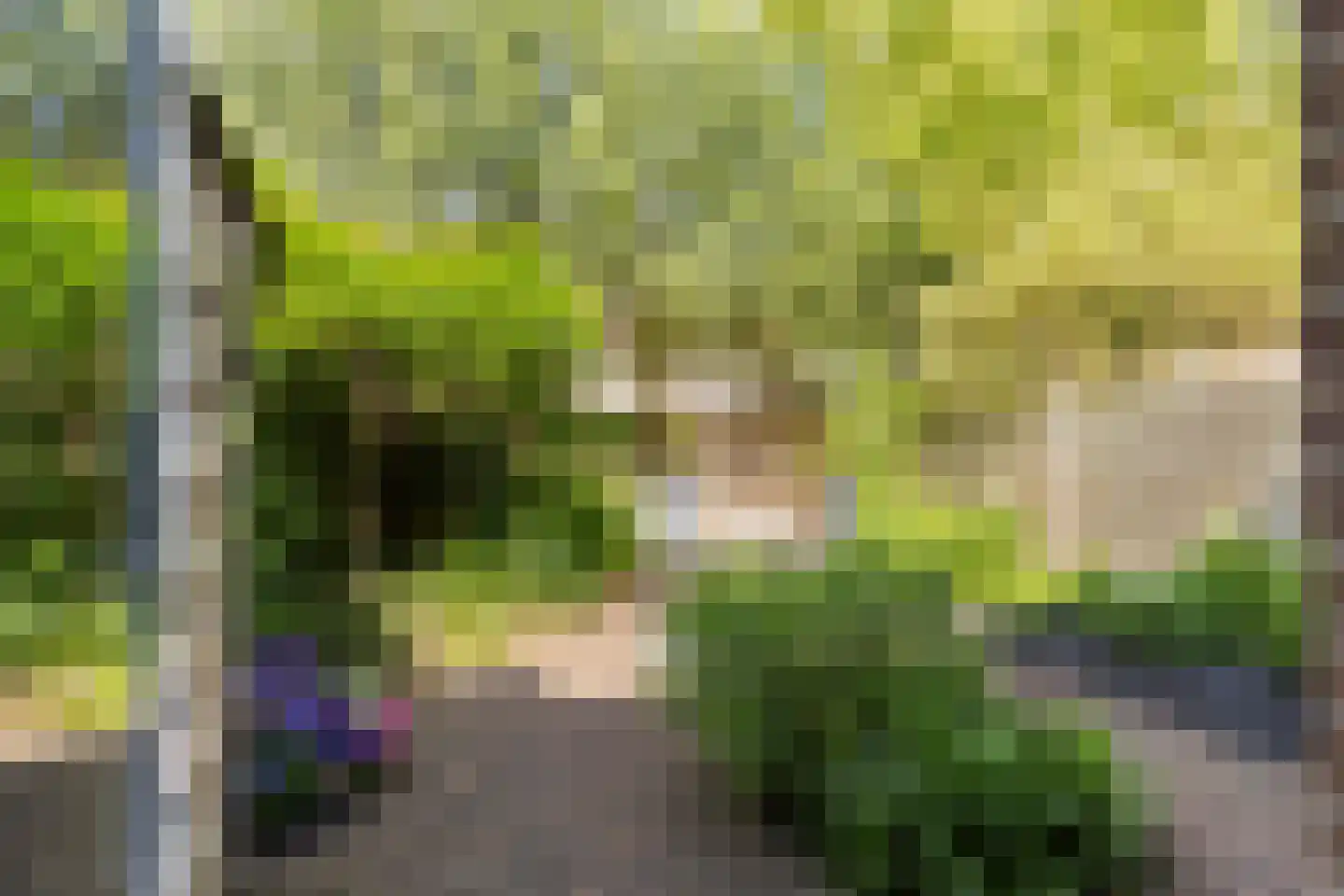 Kameelvlinder 5 Amersfoort thumbnail 26