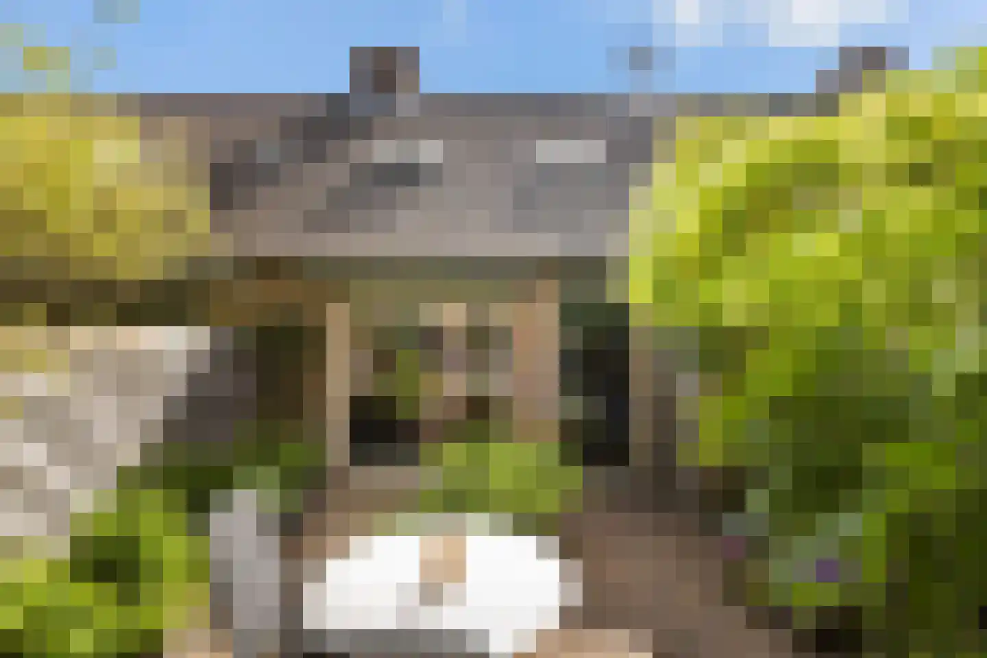 Kameelvlinder 5 Amersfoort thumbnail 29