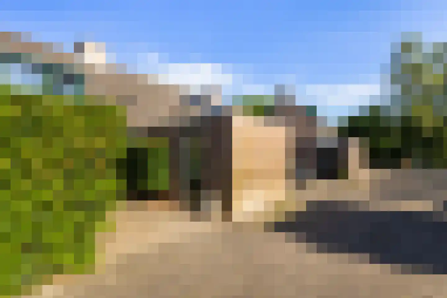 Kameelvlinder 5 Amersfoort thumbnail 31
